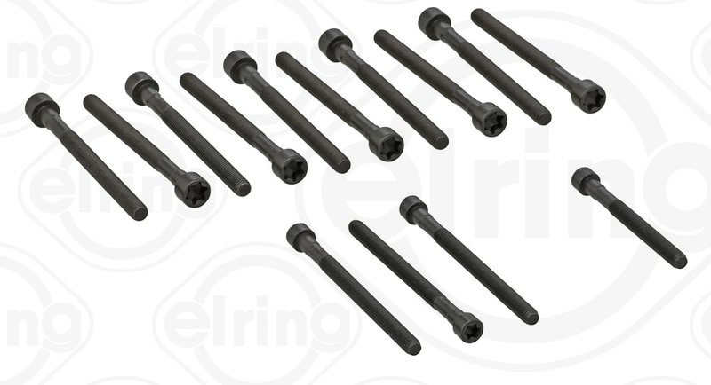 Set suruburi chiulasa Elring 270.190