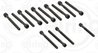 Set suruburi chiulasa Elring 270.190