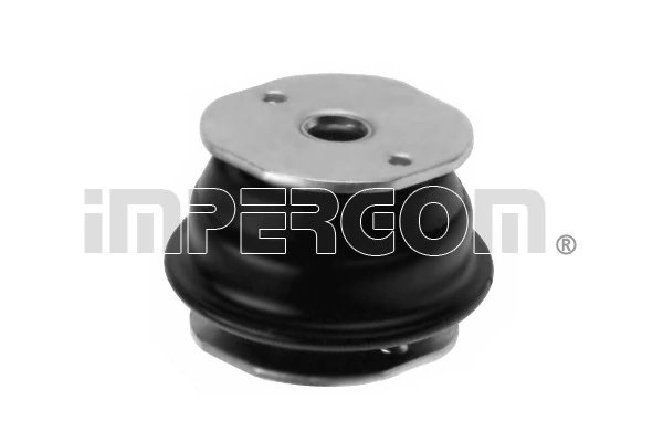 BUCSA SUSPENSIE IMPERGOM 27258 - Compatibil cu FIAT
