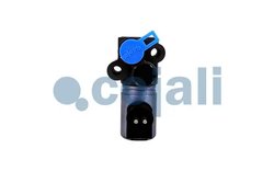 SUPAPA MAGNETICA COJALI 2818001 - Piesa auto compatibila cu mai multe marci