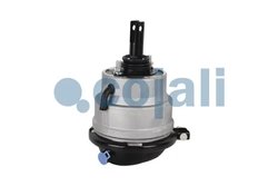 Cilindru receptor frana cu membrana Cojali 2851407
