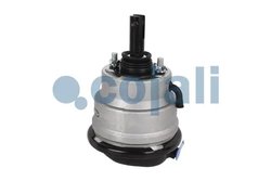 Cilindru receptor frana cu membrana Cojali 2851400