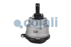 Cilindru receptor frana cu membrana Cojali 2851400