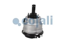 Cilindru receptor frana cu membrana Cojali 2851400