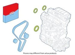SET GARNIT. ETANS.ARBORE, MOTOR CORTECO 289101 - Compatibil cu MG, ROVER