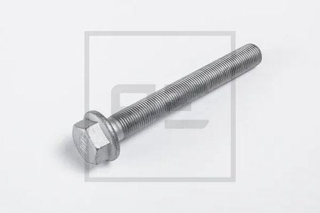 Surub PE Automotive 293.005-00A