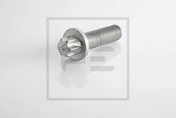 Surub, disc frana PE Automotive 296.002-00A