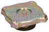 BUSON VAS EXPANSIUNE IMPERGOM 29639 - Compatibil cu ABARTH, AUTOBIANCHI, FIAT, IVECO, LANCIA, PININFARINA, SEAT