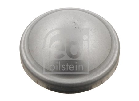 Capac rulment roata Febi Bilstein 29854