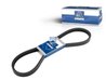 SET CUREA TRAPEZOIDALA DT SPARE PARTS 3.34202 - Compatibil cu IVECO, MAN