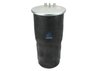 Burduf suspensie pneumatica DT Spare Parts 3.66406