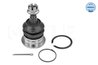 PIVOT MEYLE 30-16 010 0020 - Compatibil cu TOYOTA