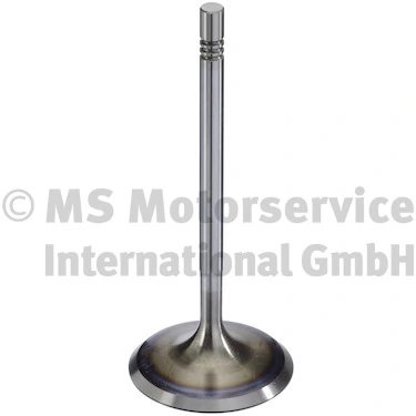 Supapa admisie TRW Engine Component 300104