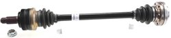 Planetara Lobro 300645