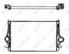 INTERCOOLER NRF 30166 - Compatibil cu FORD, SEAT, VW