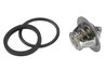 TERMOSTAT LICHID RACIRE WAHLER 3017.92D50 - Compatibil cu OPEL, VAUXHALL