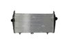 Intercooler NRF 30194