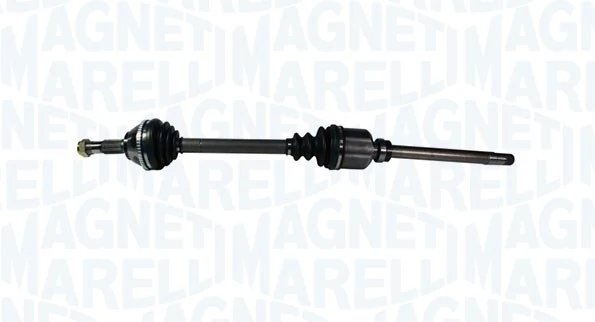 Planetara Magneti Marelli 302004190032