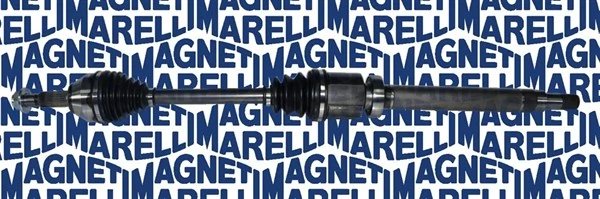 Planetara Magneti Marelli 302004190064