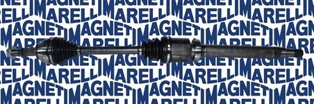 Planetara Magneti Marelli 302004190064
