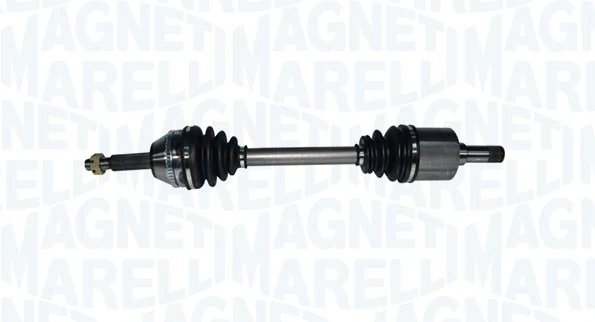 Planetara Magneti Marelli 302004190067