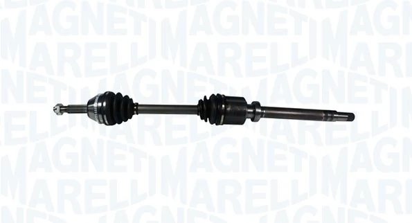 Planetara Magneti Marelli 302004190068