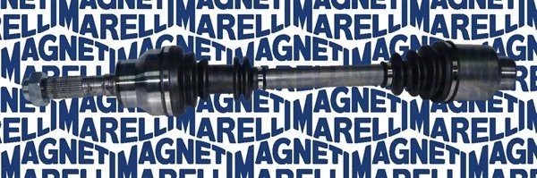 Planetara Magneti Marelli 302004190072