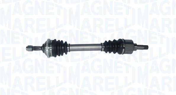 Planetara Magneti Marelli 302004190083
