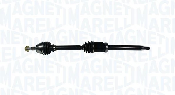 Planetara Magneti Marelli 302004190182