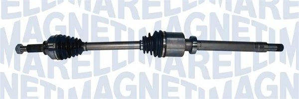 Planetara Magneti Marelli 302004190186