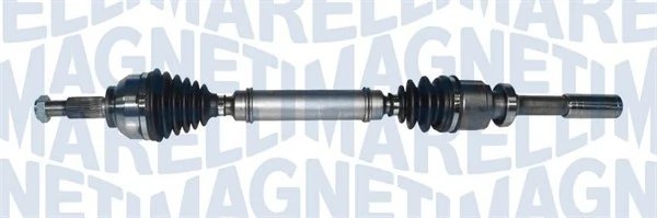 Planetara Magneti Marelli 302004190238