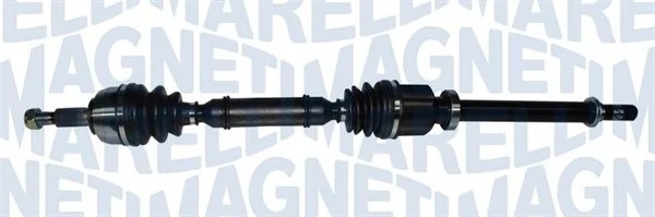 Planetara Magneti Marelli 302004190251