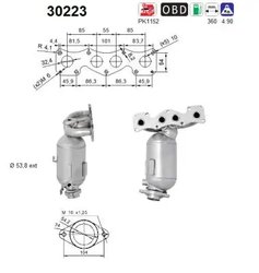 Catalizator AS 30223