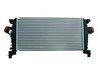 Intercooler NRF 30318