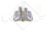 Intercooler NRF 30365