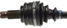 Planetara Lobro 304670