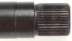 Planetara Lobro 304991