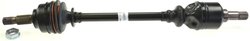 PLANETARA LOBRO 305129 - Compatibil cu CITROEN, PEUGEOT