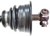 PLANETARA LOBRO 305195 - Compatibil cu RENAULT