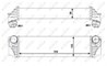 Intercooler NRF 30523