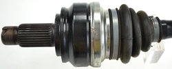Planetara Lobro 305291