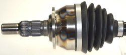 Planetara Lobro 305922
