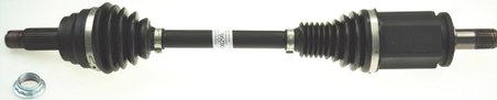 Planetara Lobro 306299