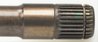 Planetara Lobro 306359