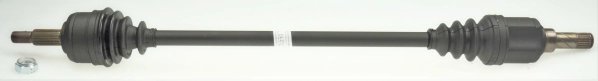 Planetara Lobro 306389