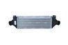 Intercooler NRF 30887