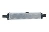 INTERCOOLER NRF 309101 - Compatibil cu AUDI