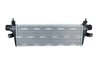 Intercooler NRF 309117