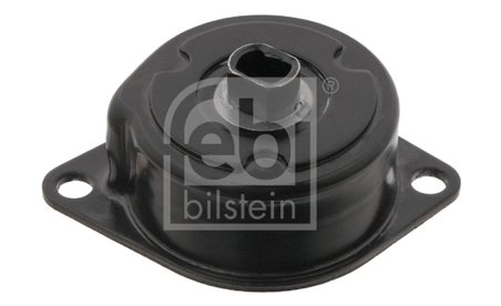 Intinzator curea distributie Febi Bilstein 30989
