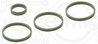 Set garnituri galerie admisie Elring 310.320